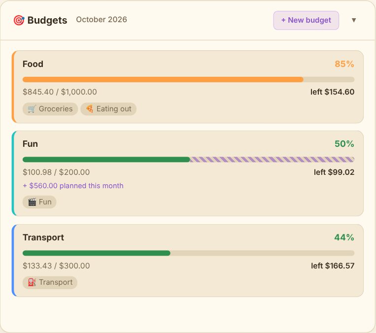 The budgets window – progress bars, amounts spent, what is left and planned expenses